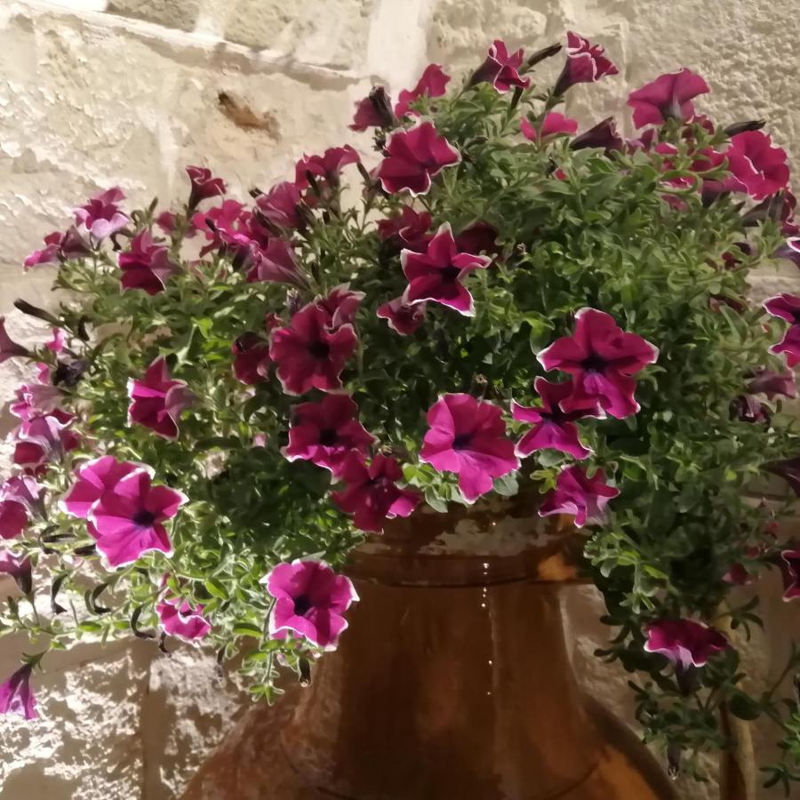 Annas Trulli Paradise-Alberobello Мартіна-Франка Екстер'єр фото